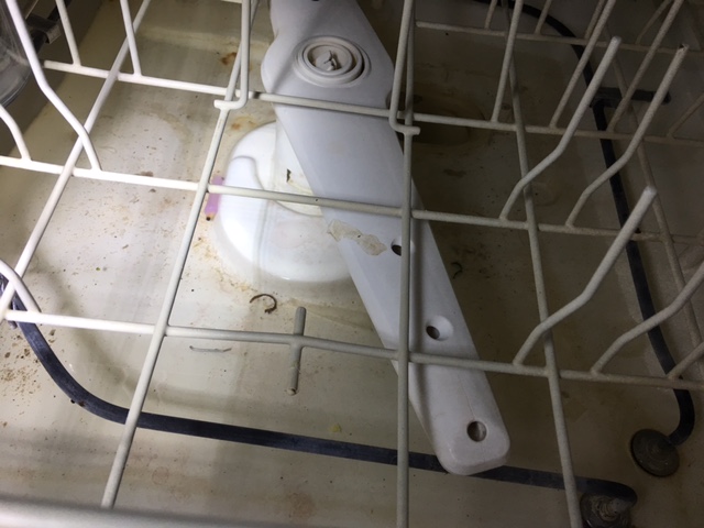 dirty dishwasher